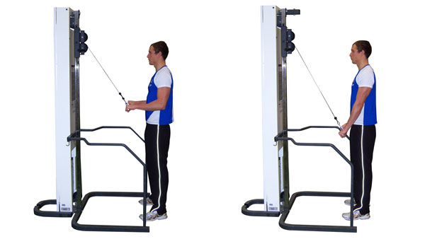 Tricep Cable Press