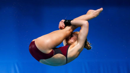 Pike Position In Diving